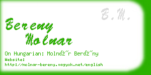bereny molnar business card